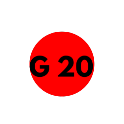 G20