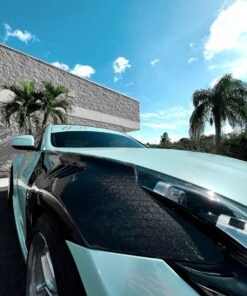 Alliance GT4 Carbon Fiber Fenders