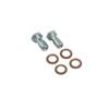 P2M NISSAN 350Z / G35 REAR BRAKE LINES (P2-350ZRR)