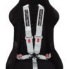 Cipher Silver 5 Point 3 Inches Camlock Racing Harness - SFI 16.1