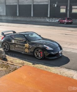Alliance GT4 Carbon Fiber Fenders
